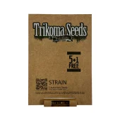 Blueberry Auto autofem (Trikoma Seeds), Испания