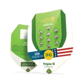 Triple G Auto autofem (Royal Queen Seeds), Испания