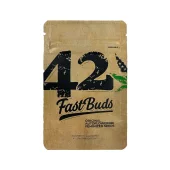 Original Big Bud Auto fem (FastBuds), Америка