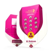 El Patron fem (Royal Queen Seeds), Испания