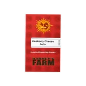 Blueberry Cheese Auto (Blue Cheese Auto) fem (Barney's Farm)