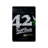 Mimosa Cake Auto fem (FastBuds), Америка