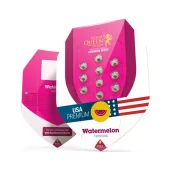 Watermelon fem (Royal Queen Seeds), Испания