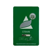 Auto Amnesia Gold fem (Pyramid Seeds), Испания