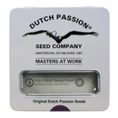 Critical Orange Punch fem (Dutch Passion), Нидерланды